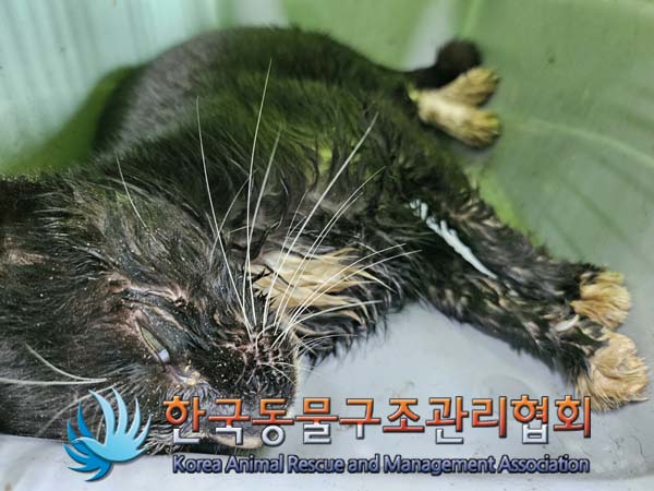 한국동물구조관리협회_411316202400591